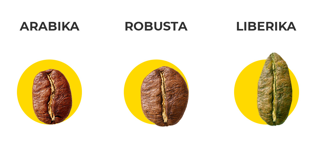 Arabika, robusta, liberika